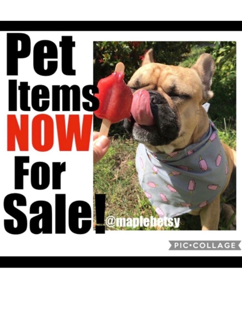Dog items for sale! Check it out!